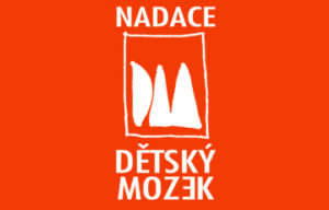 Nadace Dětský mozek