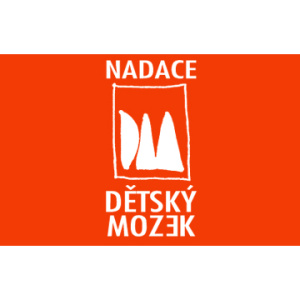 Nadace Dětský mozek